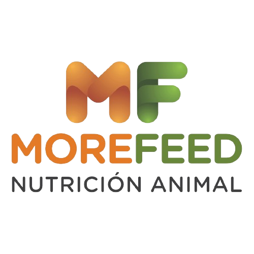 https://www.morefeednutricion.com/